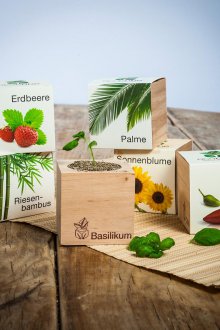 Miljøvennlige gaver til 8. mars