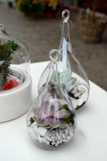 Λευκό florarium