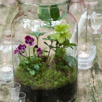 Φλωριαριό με ανθοφόρα φυτά