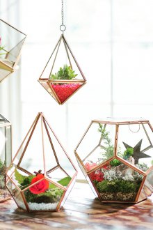 Το Florarium είναι διακοσμητικό