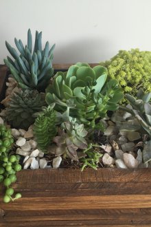 Φλωριαριό σε ξύλινο φυτευτή