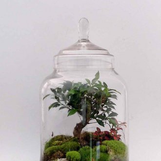 Φλωριαριό με δέντρο