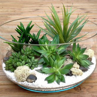 Σχεδιασμός Florarium