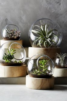 Οικολογικό Φλωριαριό