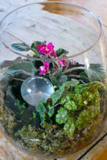 Φλωριαριό με βιολέτες