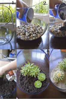 Εκπαίδευση για το Florarium