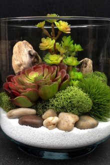 Φλωριαριό με πέτρες