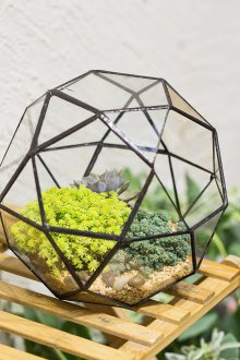 Το φλωριαριό είναι πολύπλευρο