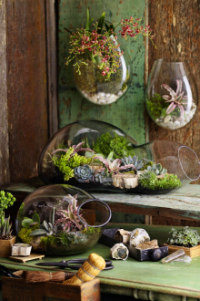 Το φλωριαριό είναι ασυνήθιστο