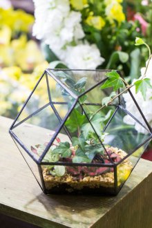 Φλωριαριό με κισσό