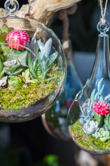 Εξωτερικό Φλωριαριό