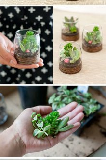 Φλωριαριό βήμα προς βήμα