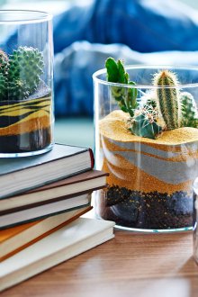 Φιορτίνα έρημο