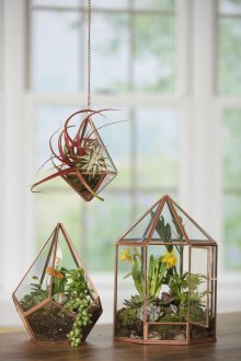 Φλωριαριό με φυτά