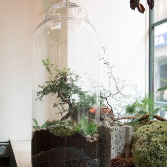 Florarium πώς να κάνει