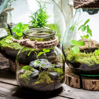 Γυαλί Florarium