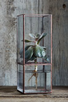 Φλωριαριό με νερό