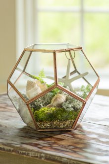 Εσωτερικό Φλωριαριό