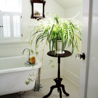 Ξύλινη βάση