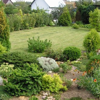 Naaldplanten en bloemen op de site