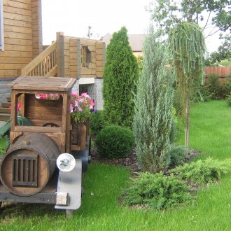 Σχεδιασμός χώρου από κωνοφόρα φυτά και διακοσμήσεις