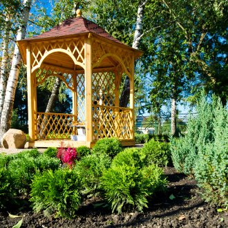 Κωνοφόρα γύρω από το κληματαριά στο οικόπεδο