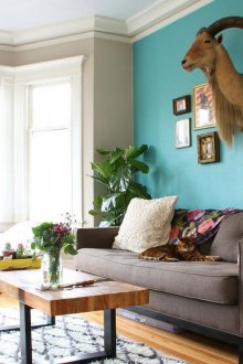 Γκρι-τυρκουάζ τοίχοι στο εσωτερικό του καθιστικού