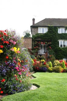 Ποικιλία χρωμάτων στο οικόπεδο