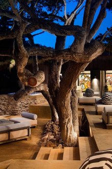 Δέντρα, τζάκι και έπιπλα κήπου