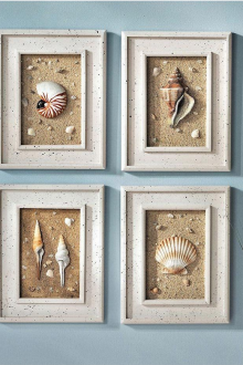 Seashells στο πλαίσιο για τη δημιουργία ενός θαλάσσιου στυλ στο εσωτερικό