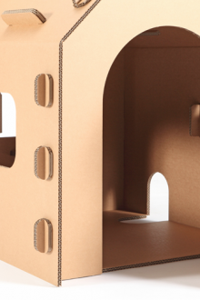 Κατοικία γάτας