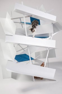 Κατοικία γάτας