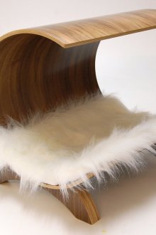 Κατοικία γάτας