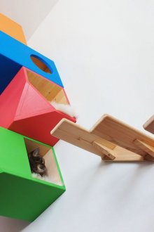 Κατοικία γάτας