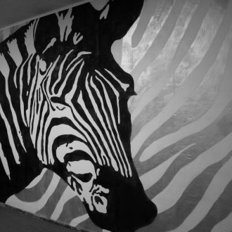 Ζέβρα στο εσωτερικό