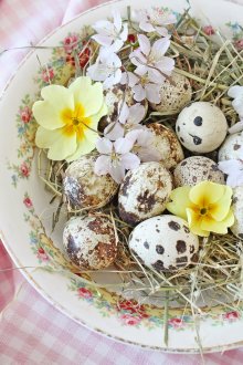 Vintage ντεκόρ