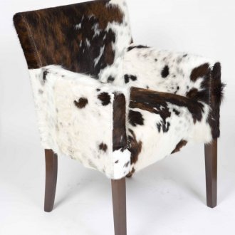 Γυάλινη καρέκλα για το εσωτερικό του κυνηγιού