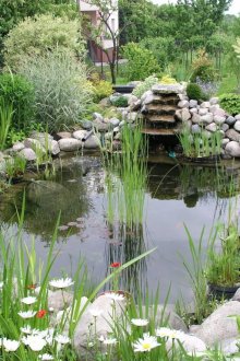 Μικρό καταρράκτη στη λίμνη