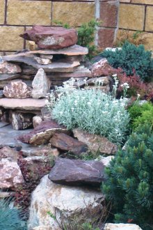 Όμορφη ροκ κήπο στη γωνία του χώρου