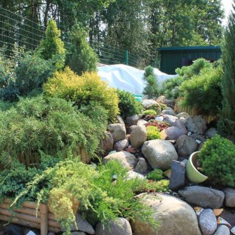 Ροκ κήπο σε άνοδο στην περιοχή