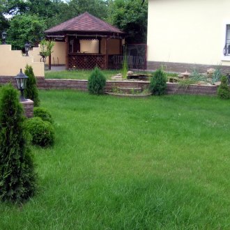 Γκαζόν σποράς