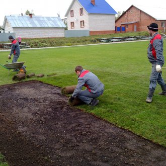 Τοποθέτηση γκαζόν σε ρολό