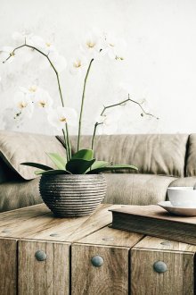 Ρουστίκ έπιπλα σε φωτεινό σαλόνι